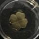 1/2 Gram Gold Republic Of Palau 1 Dollar Gold Coin Four-leaf Clover Shape