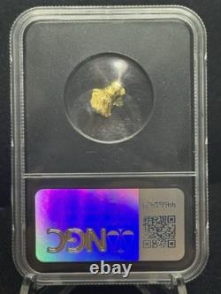 1.62 Grams Mexico Gold Nugget VaultBox Vault Box NGC Funbox Large Unique