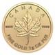 1 Gram 2025 Gold Maple Leaf Coin. 9999 Pure Gold Bullion Maplegram