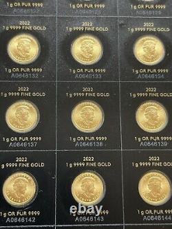 1 Gram Gold Maple Leaf Coin Maplegram 99.99% pure Gold Bullion. 9999 2022