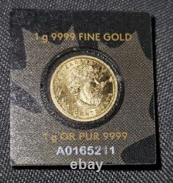 1 Gram Royal Mint Canadian Maple 9999.9 Leaf 1g Gold Coin! Encased Serial #D 1 Gram Royal Mint Canadian Maple 9999.9 Leaf 1g Gold Coin! Encased Serial #D