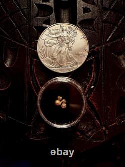 1 Gram of 24K Gold Bullion & 1oz Silver American Eagle Coin Gold & Silver Lot