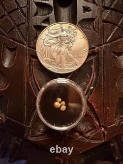 1 Gram of 24K Gold Bullion & 1oz Silver American Eagle Coin Gold & Silver Lot