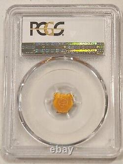 $1 Palau LUCKY PIG Gold 0.5g 11mm First Strike PCGS MS70 Gold Coin