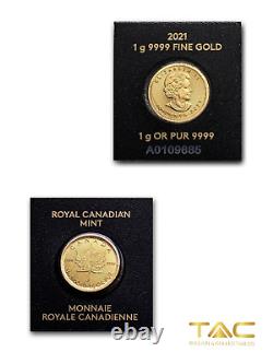 1 gram Gold Coin 2021 Canadian Maple Leaf Canadian Royal Mint