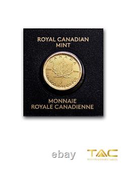 1 gram Gold Coin 2021 Canadian Maple Leaf Canadian Royal Mint