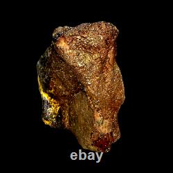 104 GRAMS / 3.67oz RARE Gold Bearing Ore Specimen from Central Queensland