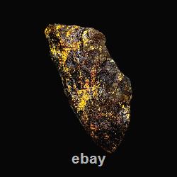 104 GRAMS / 3.67oz RARE Gold Bearing Ore Specimen from Central Queensland