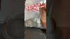 140 Silver Coins Mystery Bag Worth It
