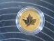 2010 Piedfort 1/5 Oz Pure Gold/ 6.22 Grams With Coa No Box Canadian Gold Maple