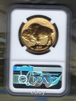 2013 W Reverse Proof 24k $50 Gold Buffalo Ngc Rp 70.9990 Fine