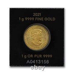2014 Present (Random Year) CA 1 Gram. 9999 Canadian Gold Maple Leaf Coin Brill