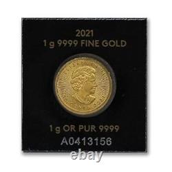 2014 now Random year Gold coin Brilliant Canadian 1 gram 9999 Not circulated Ce