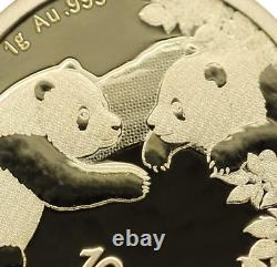 2016 Present (Random Year) 1 Gram Gold Chinese Panda Brilliant Uncirculated Y