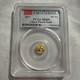 2017 China Gold Panda 10 Yuan 1 Gram. 999 Gold Pcgs Ms69 First Strike
