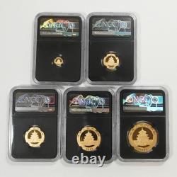 2018 China Panda 5-Coin Gold Set 57 grams NGC MS70 ER Early Releases