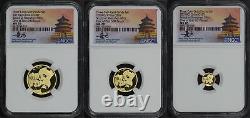 2019 (G) 3-Coin Gold Panda Set 1 of 1st 500 Struck Shenzhen NGC MS-70 Tong Fang
