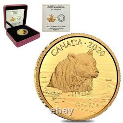 2020 Canada 35 gram Proof Gold Coin The Grizzly Bear Wildlife Portraits. 99999
