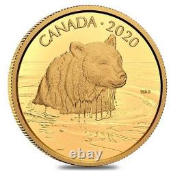 2020 Canada 35 gram Proof Gold Coin The Grizzly Bear Wildlife Portraits. 99999
