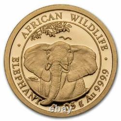 2021 1/2 gram Somalia Gold African Elephant BU