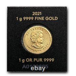 2021 1 gram Gold Maple Leafs Maplegram25 (In Assay) SKU#229101