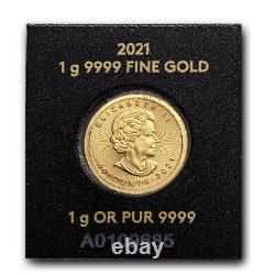 2021 1 gram Gold Maple Leafs Maplegram25T (In Assay)