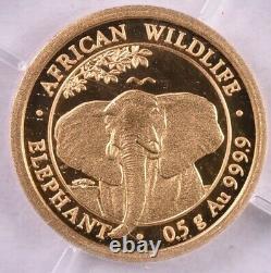 2021 Somali Republic 0.5 Grams Gold African Wildlife Elephant