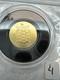 2022 0.5 Gram Gold Cook Islands Tortoise 0.9999 Fine $5 Dollars Silk Finish