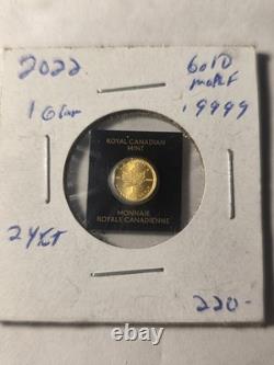 2022 1 Gram. 9999 Gold 2020 Maple Leaf 24k. 9999 Fine Coin Maple gram In Assay