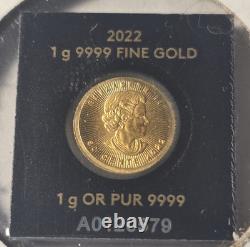 2022 1 Gram. 9999 Gold 2020 Maple Leaf 24k. 9999 Fine Coin Maple gram In Assay
