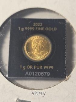 2022 1 Gram. 9999 Gold 2020 Maple Leaf 24k. 9999 Fine Coin Maple gram In Assay