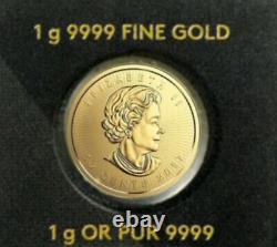 2022 1 Gram Gold Maple Leaf Coin In Maplegram 99.99% pure