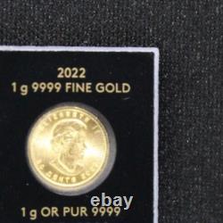 2022 1 Gram Gold Maple Leaf Coin Round In Maplegram Assay Card Queen Elizabeth