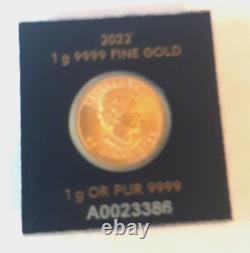 2022 1 Gram Gold Maple Leaf Coin Round In Maplegram Assay Card Queen Elizabeth