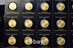 2022 25x 1 GRAM GOLD MAPLE LEAFS RCM MAPLEGRAM 25 IN ASSAY