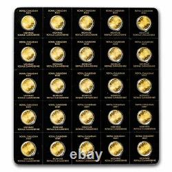 2022 25x 1 gram Gold Maple Leafs Maplegram25T (In Assay Sleeve) SKU#242360