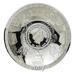 2022 50 Gram Silver 40 Years Gold Panda Anniversary