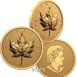 2022 Canada Ultra-High Relief Gold Maple Leaf UHL, GML 1 oz. Pure Gold Coin