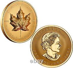 2022 Gold Maple Leaf Ultra-High Relief GML $200 33.17grams Pure Gold Proof Coin