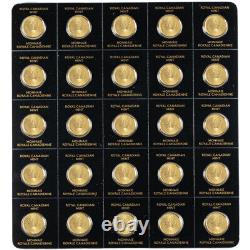 2023 25 Gram Canadian Gold Maple Gram (25x1g, BU withAssay)