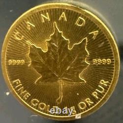 2023 Canada 1 Gram Gold Maple Leaf 50 Cents 9999 Fine Gold Queen Elizabeth II
