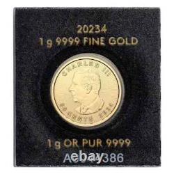 2024 1 Gram Gold Maple Leafs Maplegram25T (In Assay)
