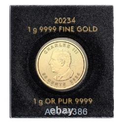 2024 1 gram Gold Maple Leafs Maplegram25T (In Assay)
