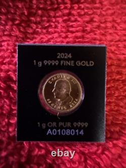 2024 Canada 1 gram Gold Maple Leaf From Maplegram25T 1 Coin