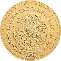 2024 Mexico Gold Libertad 1/10 oz 1/10 Onza BU