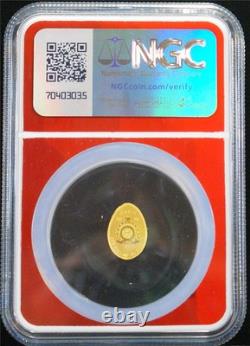 2025 $1 1 Gram. 999 Rare Reverse Proof Gold Niue Golden Goose Egg NGC PF 70 FDOI