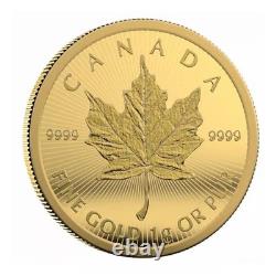 2025 25 Gram Canada Maple Leaf Gold Coin (25x1 Gram)