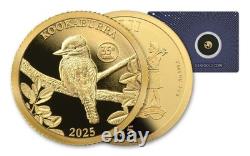 2025 Fiji Kookaburra 0.5g Gold in Card