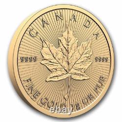 2026 25x 1 gram Gold Maple Leafs Maplegram25T (In Assay Sleeve)-Pre-Sale