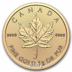 2026 25x 1 gram Gold Maple Leafs Maplegram25T (In Assay Sleeve)-Pre-Sale